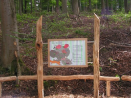 naturlehrpfade_4