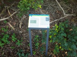 img_20200529_172020_1-scaled