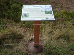 img_20200915_123731-scaled